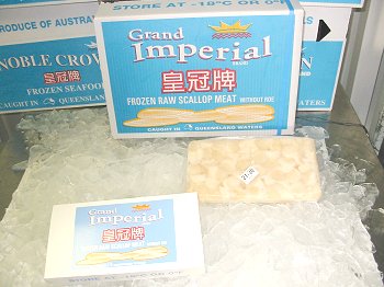 Queensland Scallop Raw Meat, frozen raw scallop meat