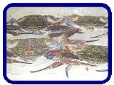 Ocean Exports - Products - Crustaceans - Prawns, Shrimp, Crabs, Lobsters, Slipper Lobsters, Moreton Bay Bugs