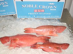 Noble Crown frozen seafood caught in Queensland waters